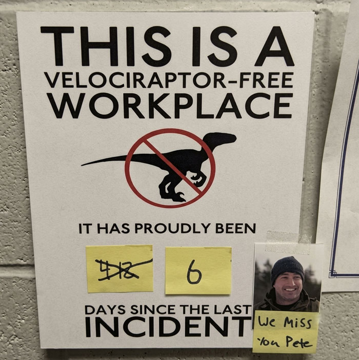 The Velociraptor 'Incident'