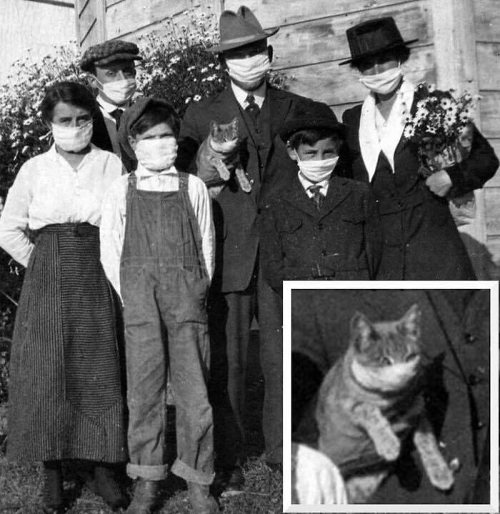 Vintage photo of a family wearing masks, with a close-up of a cat also wearing a mask, showing animals stealing the spotlight.