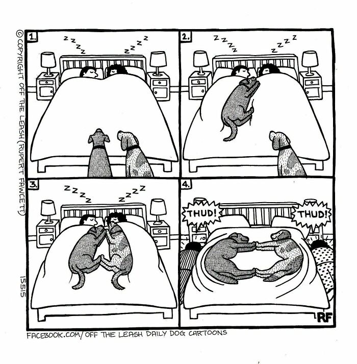 A four-panel comic illustrating how dogs jump into bed and push people out, perfectly capturing life with dogs.