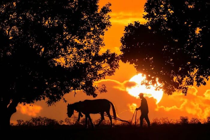 Murat Bakmaz captures the easily missed beauty of everyday life: A silhouette of a man plowing with a horse against an orange sunset.
