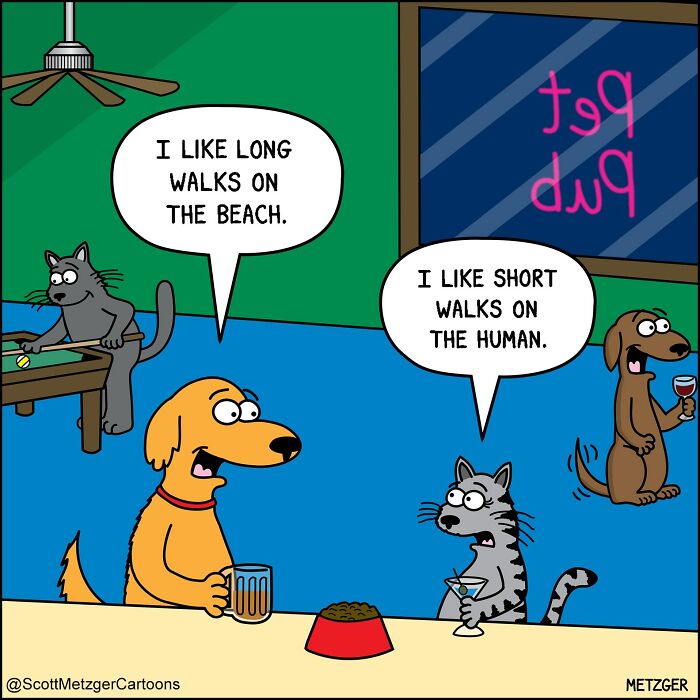 Scott Metzger cartoon: Dogs and cats discuss their preferences for long and short walks.