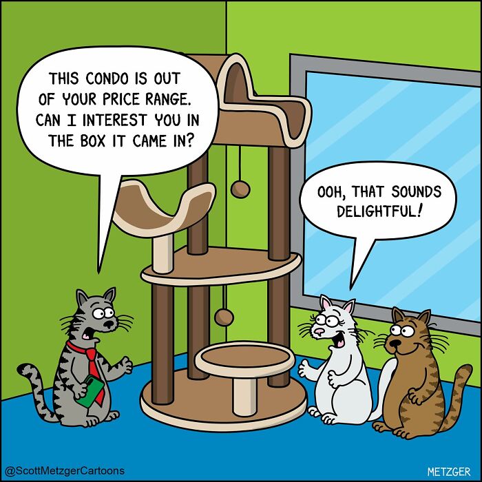 A Scott Metzger comic about cats and dogs: Cats discuss a cat condo, opting for the box it came in, highlighting weird logic.