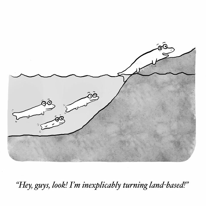 One-panel comics humorously illustrates a fish turning land-based, finding humor in mundane everyday thoughts.