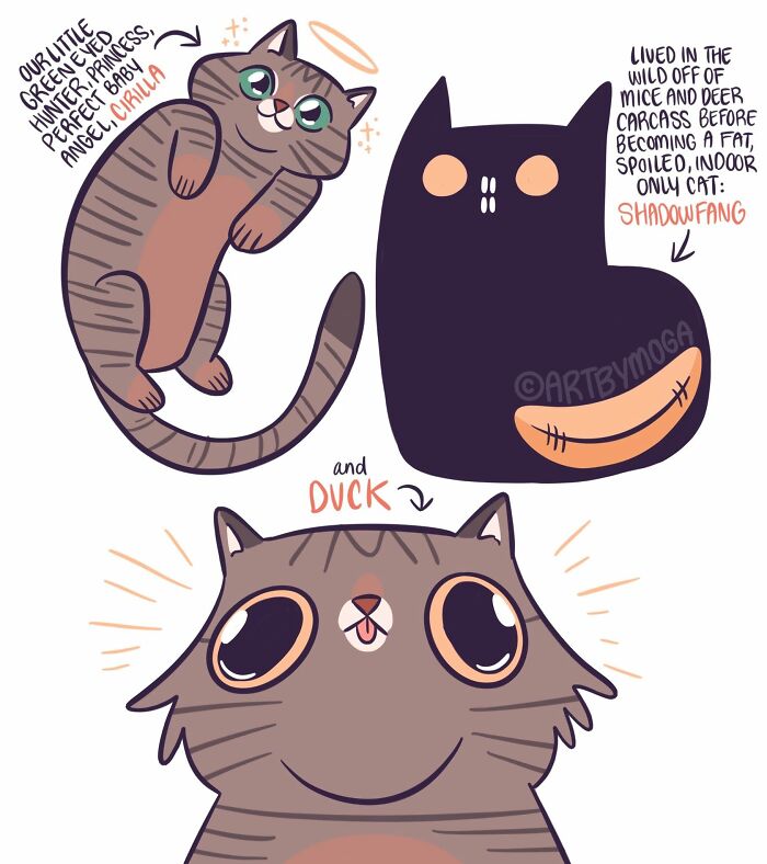 A comic by Meg Adams illustrating the contrasting descriptions of two cats, Ciriella and Shadowfang.