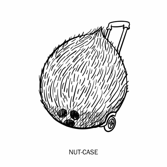 Humorous illustration of a coconut as a suitcase (nut-case), playfully redefining words.