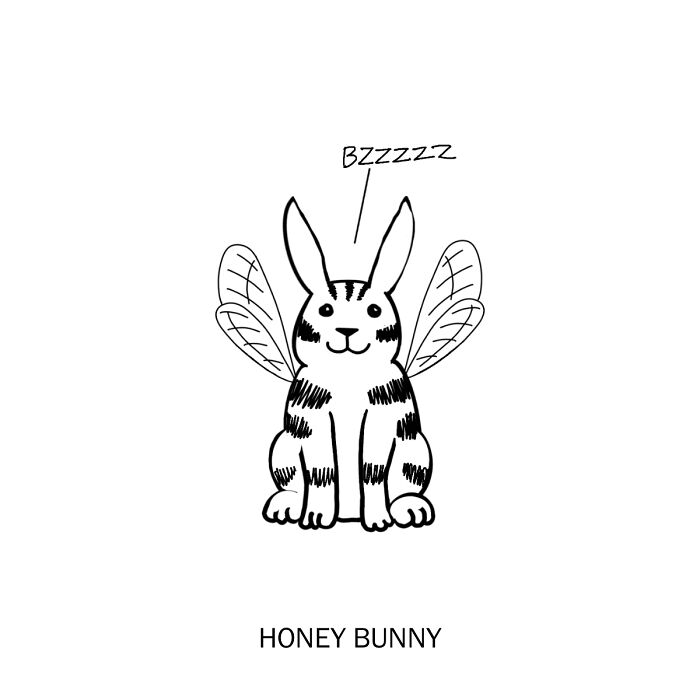 Humorous illustration of a honey bunny, a rabbit with bee wings, redefining words.