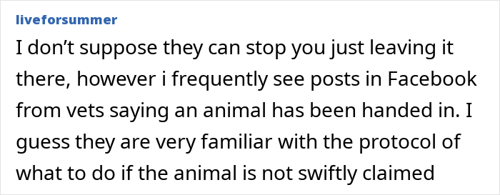 Neighbor Asks Couple To Watch Her Dog “For A Few Days,” Disappears When They Try To Return Him Neighbor Asks Couple To Watch Her Dog “For A Few Days,” Disappears When They Try To Return Him