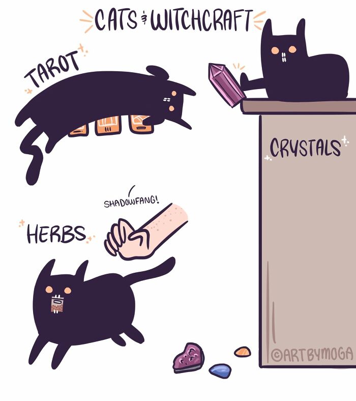 A comic by Meg Adams depicting a cat involved in witchcraft with tarot cards, crystals, and herbs.