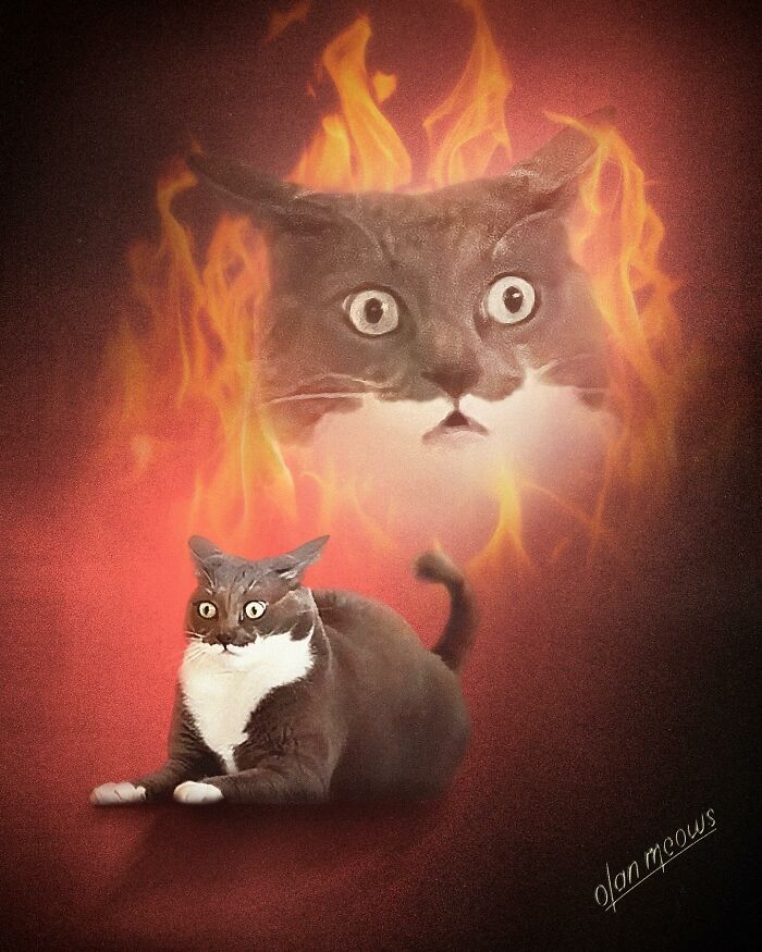 Hilarious 80s portrait of a shocked cat against a red background with a fiery aura.