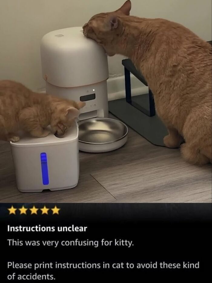 Two cats struggling with an automatic feeder, a cat meme illustrating life with a tiny four-legged menace and confusing instructions.