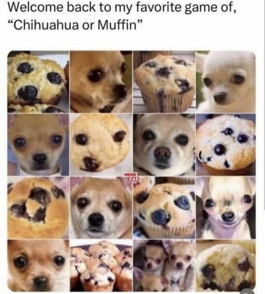 A grid of images showing chihuahua dogs and muffins, challenging viewers to distinguish between the animal and the baked good in these animal memes.