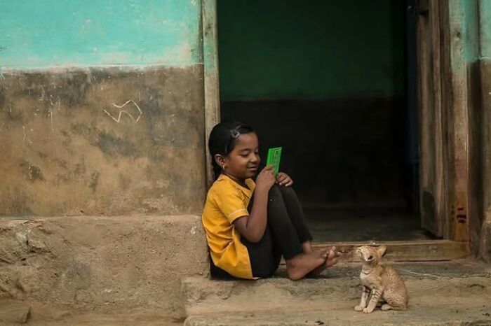 “The Secret Lives Of India’s Street Cats”: 24 Heartwarming Photos That Turn Everyday Felines Into Unforgettable Stars