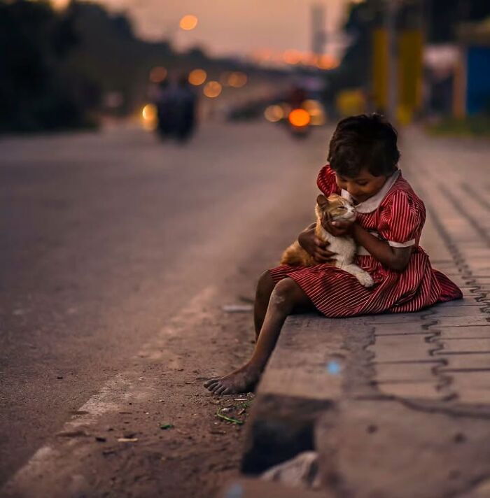 “The Secret Lives Of India’s Street Cats”: 24 Heartwarming Photos That Turn Everyday Felines Into Unforgettable Stars