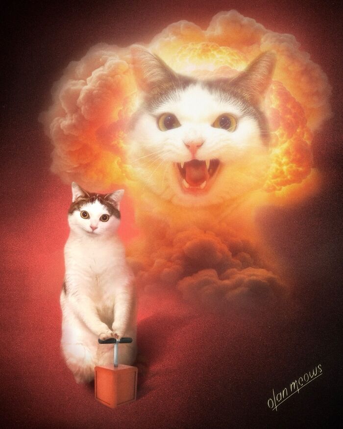 A white cat comically posing with a b**b detonator, set against an over-the-top 80s portrait style explosion background.