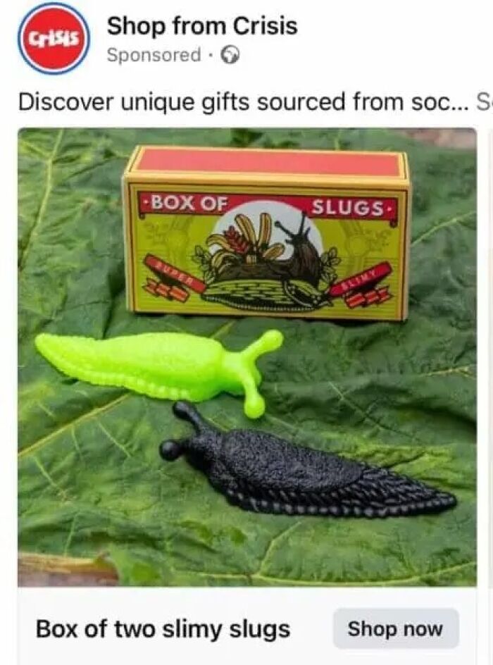 Online marketplace screenshot advertising a box of two slimy slug toys on a green leaf, showcasing weird items.
