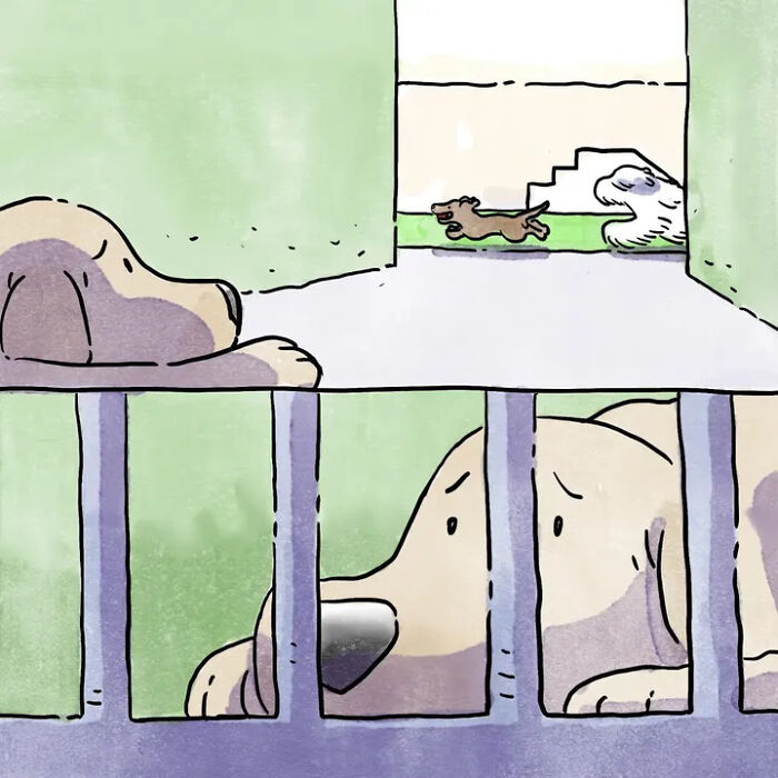 Heartwarming comics illustrating life with pets: a sad dog behind bars watches another dog play. Heartwarming comics illustrating life with pets: a sad dog behind bars watches another dog play.