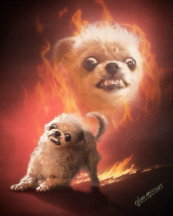 A small, fluffy dog with wide eyes depicted in an over-the-top 80s portrait, surrounded by fire and a fiery visage.