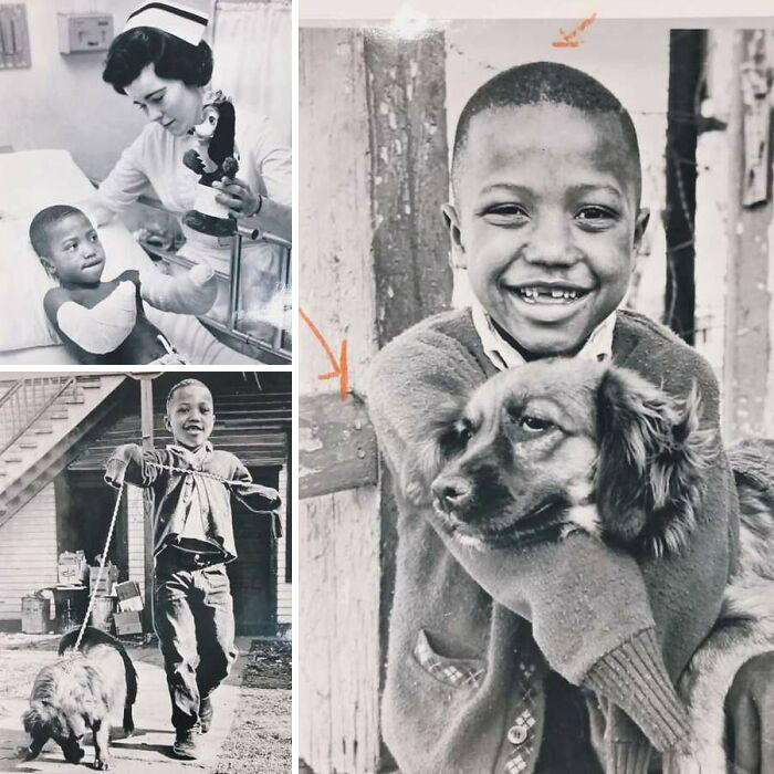 Collage of vintage photos featuring a boy with a dog and a nurse, highlighting animals stealing the spotlight.