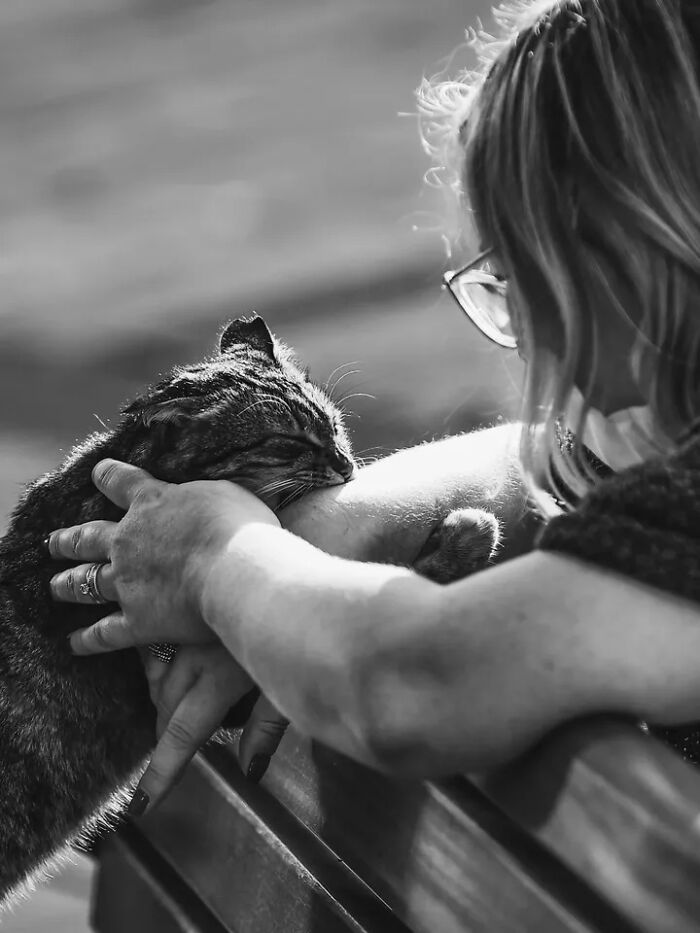 A perfectly timed street photo of a woman affectionately petting a cat, captured by Mehmet Bayram, creating art.