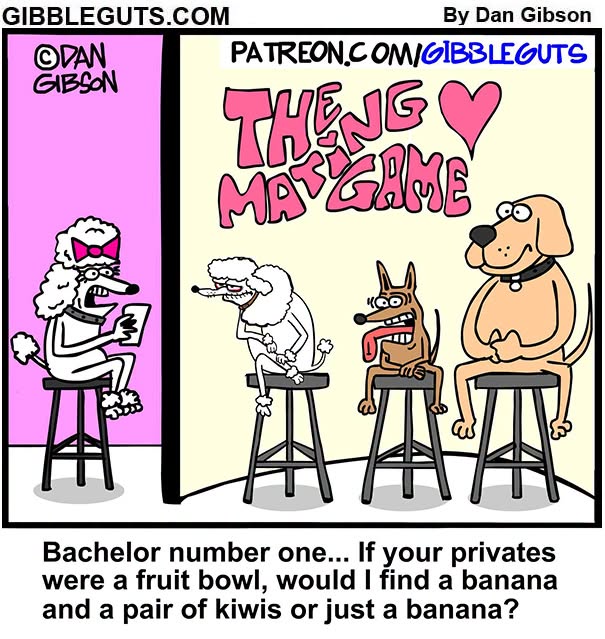 A Dan Gibson one-panel comic depicts dogs on a dating show, proving growing older doesn't mean growing up.