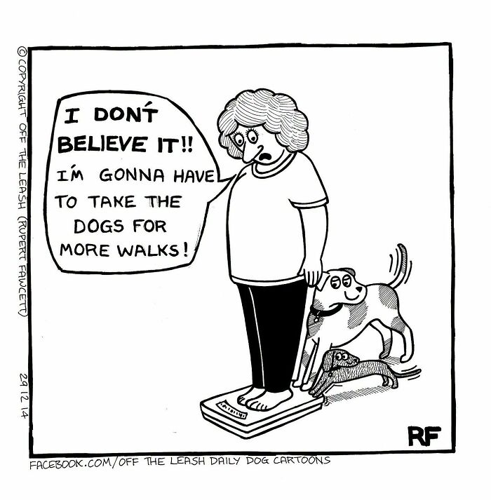 A comic showing a woman on a scale realizing she needs to walk her dogs more, capturing life with dogs.
