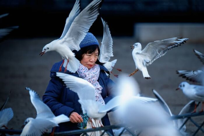 Murat Bakmaz captures the easily missed beauty of everyday life: A woman feeding seagulls, with several birds flying around her.