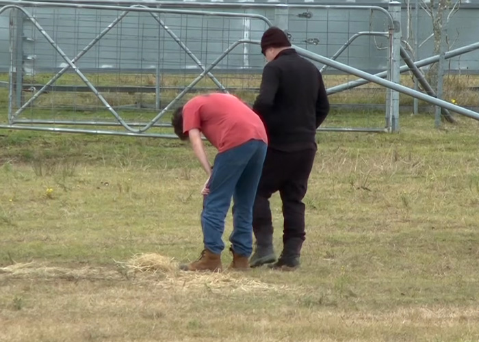 Two men in a field near a fence, possibly searching or examining the area where the missing teen was found.