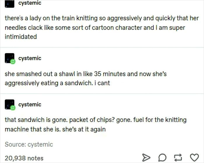 A humorous Tumblr post about an aggressively knitting woman on a train, among the best things shared on Tumblr.
