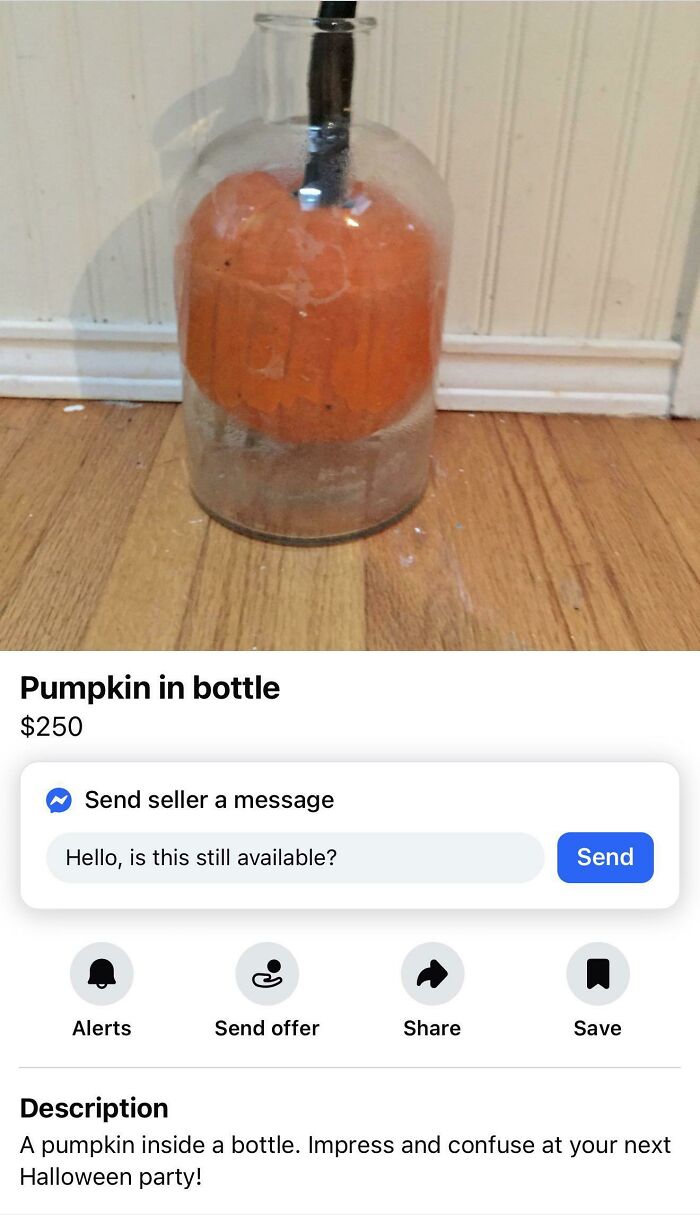 A screenshot from an online marketplace showing a pumpkin in a bottle, proving it is a magnet for weirdest people.