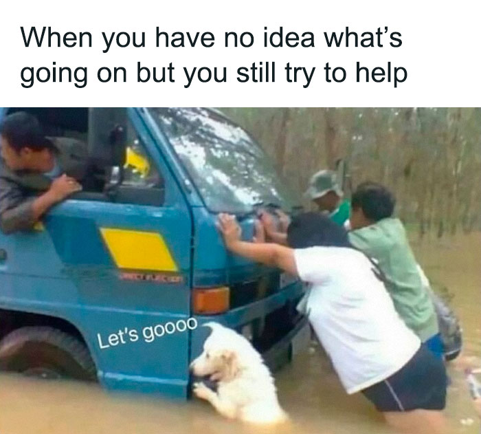 71 Funny Memes For Anyone Fluent In Sarcasm
