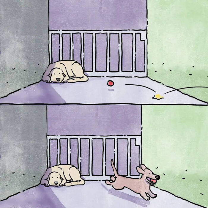 Heartwarming comics showing life with pets: a lonely dog's mood changes when a small dog brings a toy. Heartwarming comics showing life with pets: a lonely dog's mood changes when a small dog brings a toy.