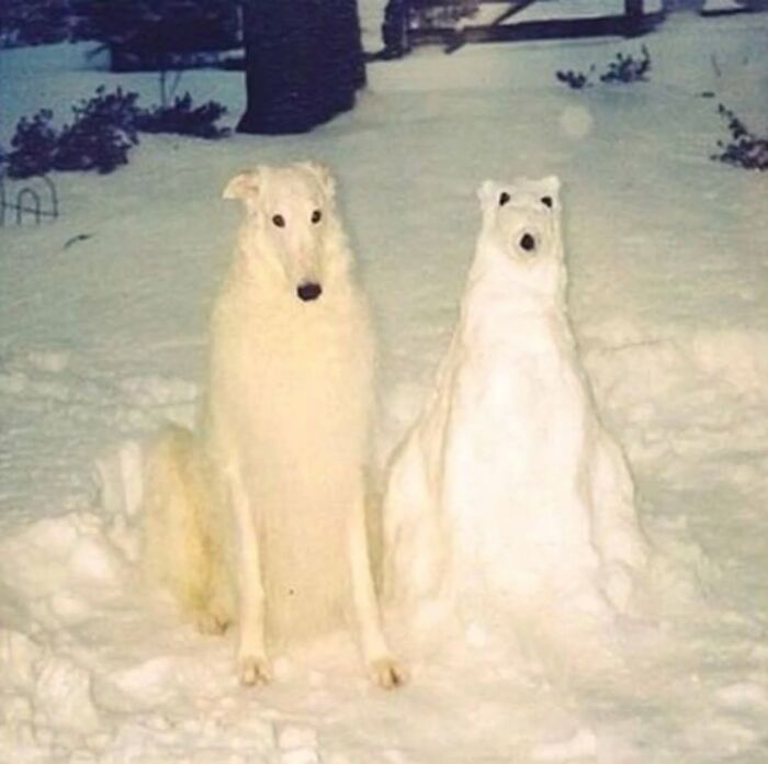A Borzoi dog posing next to a snow sculpture that resembles a polar bear in a whimsical dog image.