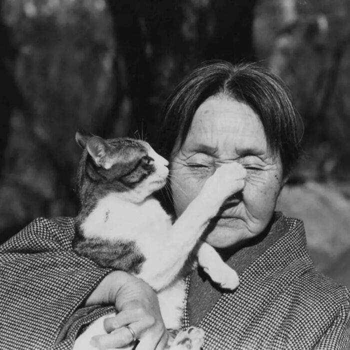 30 More Vintage Cat Photos That Prove Our Love For Cats Hasn't Changed In Over A Century