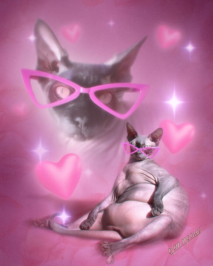 A hairless sphynx cat wearing pink glasses, lounging in an over-the-top 80s portrait with hearts and a pink background.