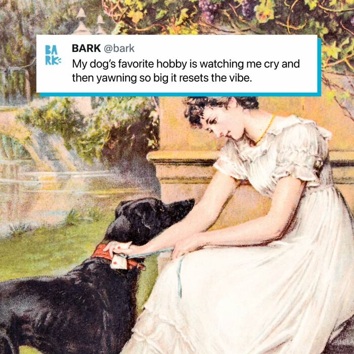 A classic painting of a woman with her dog, captioned with a relatable dog toy maker meme.