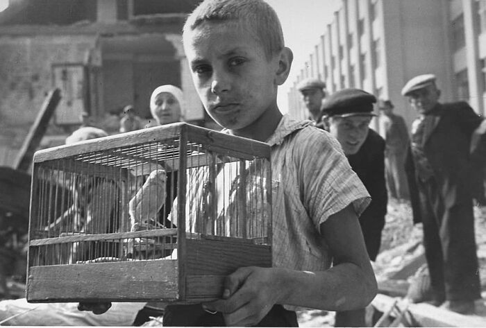 Vintage photo of a boy holding a bird in a cage, highlighting animals stealing the spotlight.