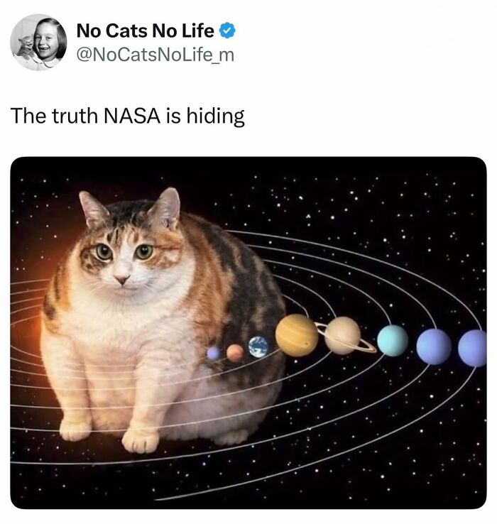 A massive cat is depicted as the sun with planets orbiting it, a cat meme illustrating life with a tiny four-legged menace.