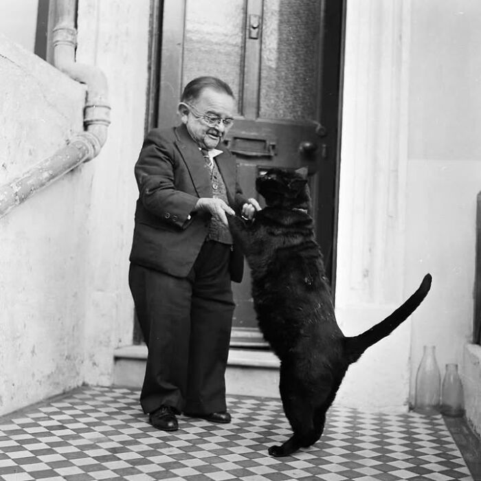Vintage photo of a man and a black cat standing on two legs, showing animals stealing the spotlight.