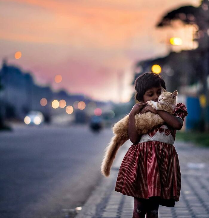 “The Secret Lives Of India’s Street Cats”: 24 Heartwarming Photos That Turn Everyday Felines Into Unforgettable Stars