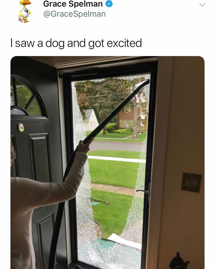 Funny dog meme about breaking a glass door to see a dog.