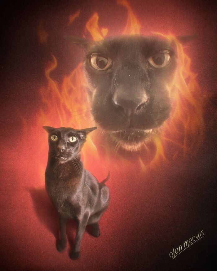 Hilarious 80s portrait of a black cat, with a menacing cat face surrounded by flames.