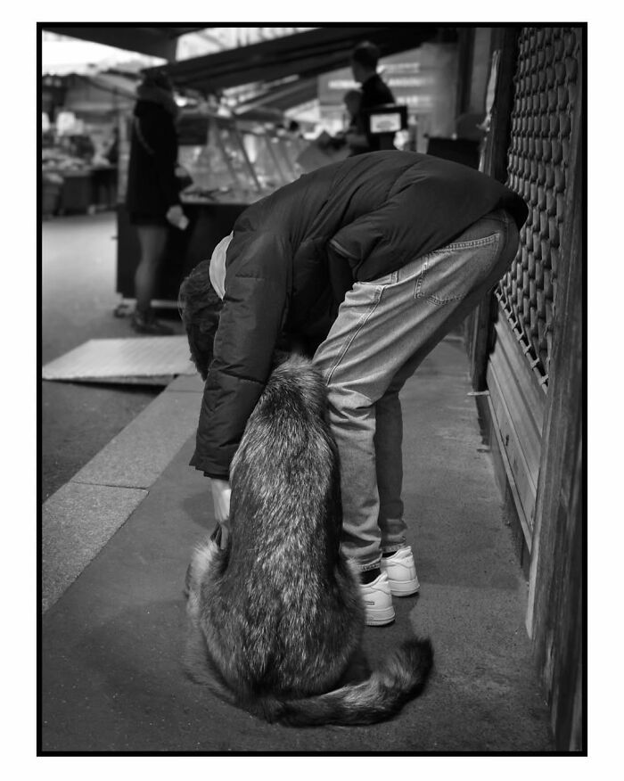 A person bending down to pet a furry dog, a perfectly timed street photo revealing an unseen side of Paris.