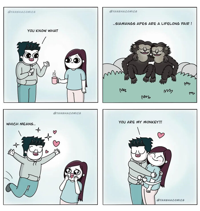 Adorable comics depicting a man telling his girlfriend they are a lifelong pair like siamang apes, an endearing moment showing what it means to be in love.