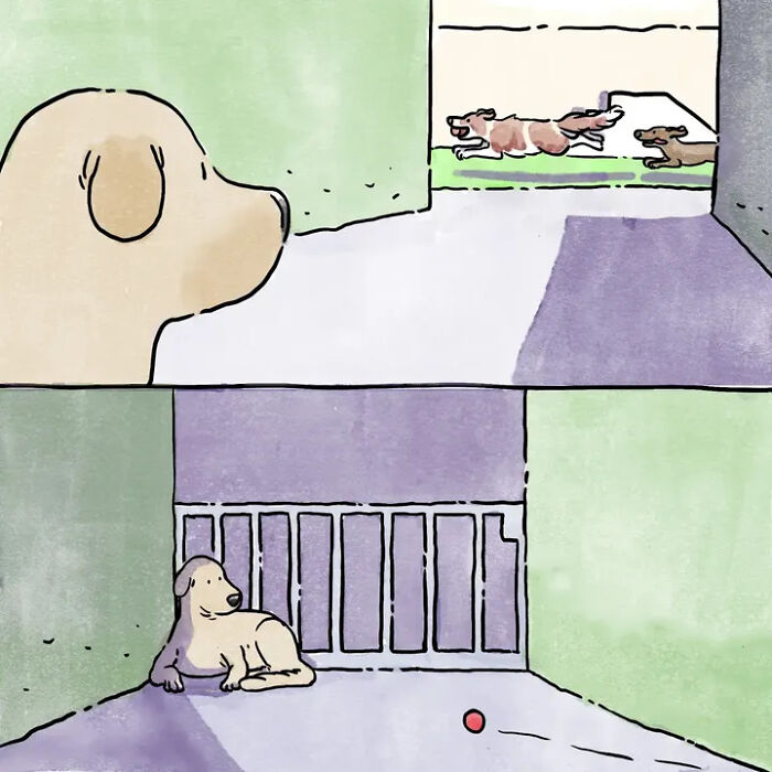 A dog watches other dogs play from behind a fence, then sits alone with a ball, heartwarming comics about life with pets. A dog watches other dogs play from behind a fence, then sits alone with a ball, heartwarming comics about life with pets.