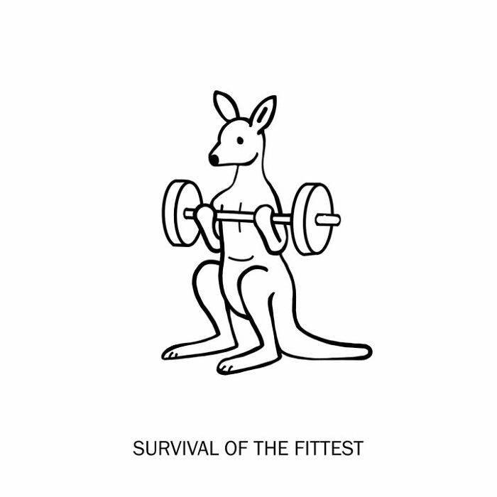 Humorous illustration by artist playfully redefining words: Survival of the Fittest, a kangaroo lifting weights. New humorous illustrations.