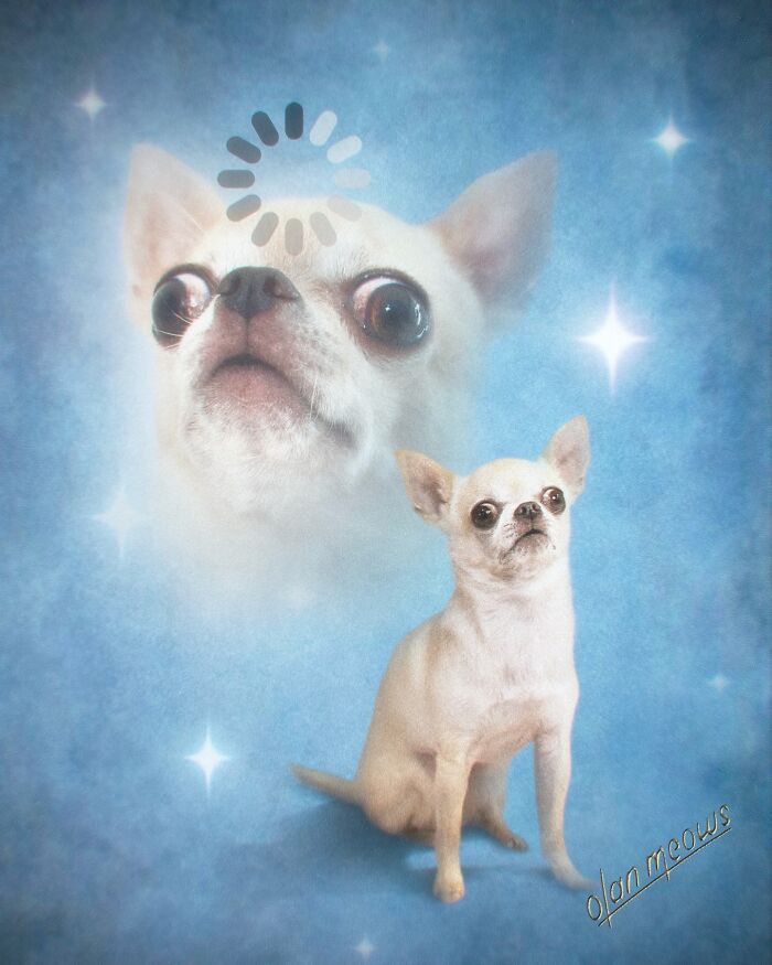 A quirky 80s portrait of a chihuahua, capturing its pet charm with a hilarious, over-the-top effect.