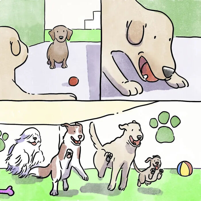 A dog plays with other pets and a ball in two frames, capturing heartwarming comics and life with pets. A dog plays with other pets and a ball in two frames, capturing heartwarming comics and life with pets.