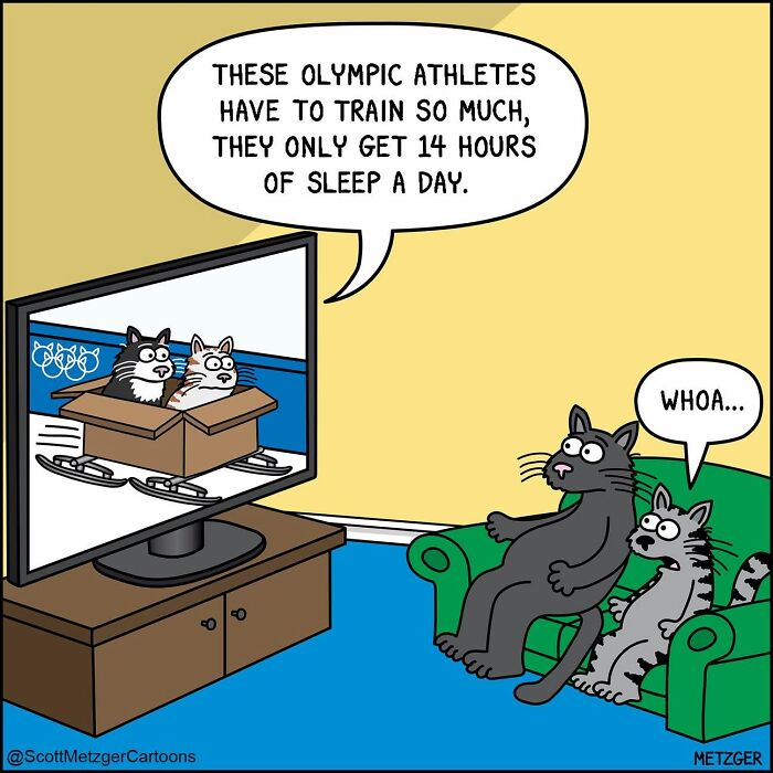 Scott Metzger comic: two cats watch Olympic athletes on TV, surprised by their sleep schedule. Weird logic of cats and dogs.