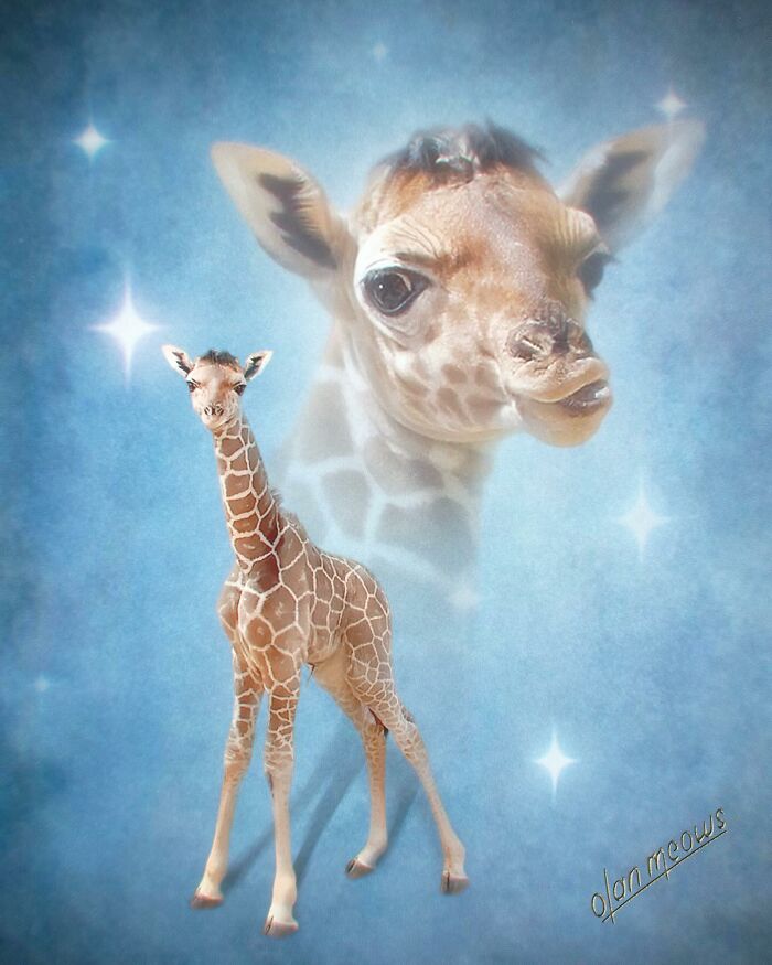 An adorable 80s portrait of a baby giraffe, embodying its pet charisma in a hilarious, over-the-top style.