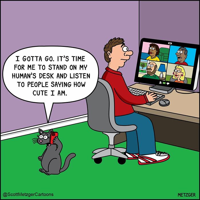 A cat interrupts a video call for attention in a Scott Metzger comic about relatable cats and dogs.